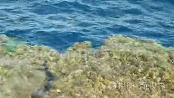 海水与石化珊瑚石视频