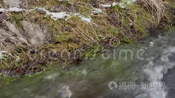 小圣诞树的雪枝在快速移动的瀑布背景下随风摇摆，形成巨大的泡沫