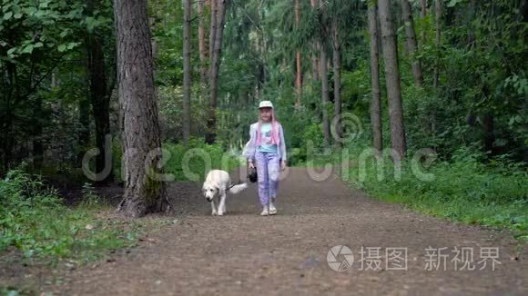 小女孩正和一只狗在森林里散步视频