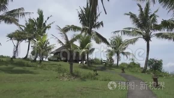 在阳光明媚的日子里，摄像机沿着一条穿过棕榈树林的小路移动到位于热带海洋海岸的房子