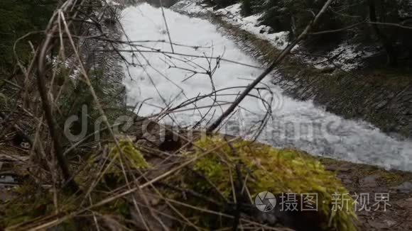 小圣诞树的雪枝在快速移动的瀑布背景下随风摇摆，形成巨大的泡沫