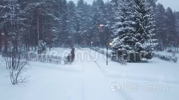 路灯照明道路至冬季公园，积雪覆盖.. 剪辑。 树木小径和小房子的美丽景色