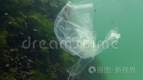 垃圾在水中，聚乙烯袋杀死海洋动物，虾死。