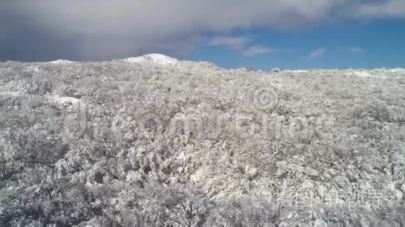 空中冬林景观上蓝，多云的天空背景.. 中枪。 白雪皑皑的树木，从上面看。