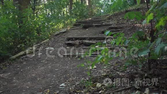 森林里破旧的楼梯视频