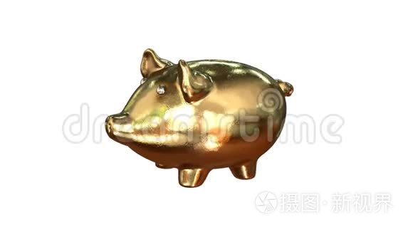 金币和银币掉进金猪库里.. 3D动动画