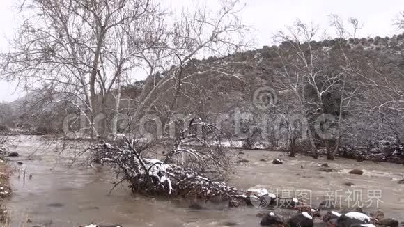 洪水泛滥的河流视频