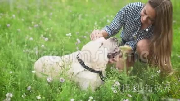 年轻的狗主人女孩在绿色公园里玩她的拉布拉多。