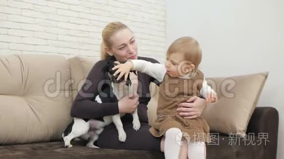 妈妈带着一个小女儿坐在沙发上，和一只养狗杰克·罗斯塞尔梗玩乐
