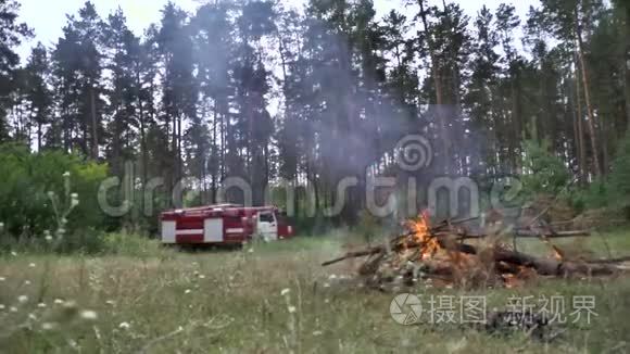 两个红色消防车，闪烁的灯接近森林，以扑灭燃烧的火灾。 场景。 消防车