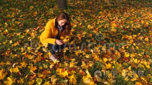 女人把落叶从地上带走视频
