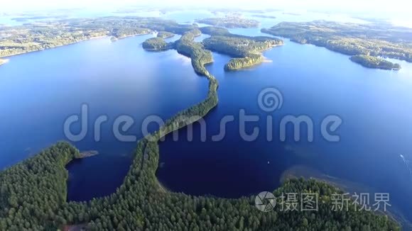 飞越湖泊和树林视频