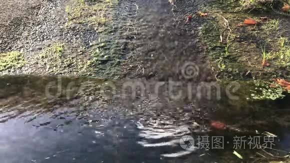 污水流入排水渠波纹视频