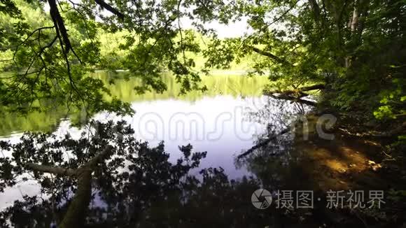 在莫伊兰湖畔，透过橡树向对岸望去