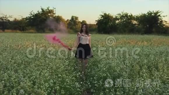 年轻迷人的黑发女孩穿着裙子，带着粉红色的在田野上。 女孩开心地笑着享受