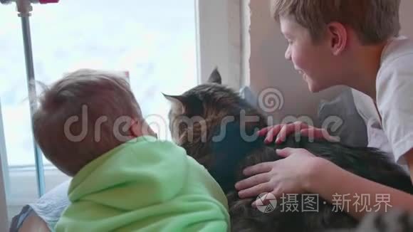两个带猫的孩子躺在地板上，看着窗外。 宠物和孩子们之间的友谊