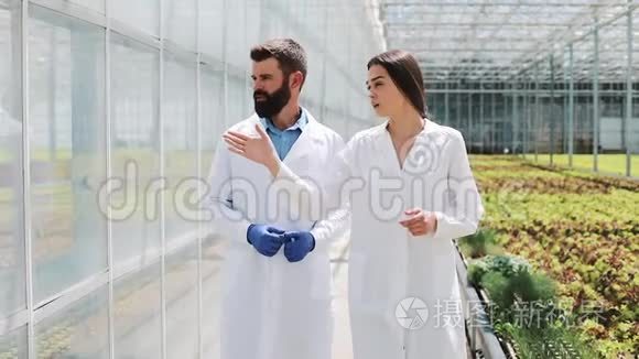 两个穿着实验室长袍的研究人员在温室里走来走去。 他们讨论做生意的成功