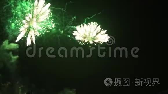 夜空上美丽的烟花花。 节日活动伴随着节日沙龙。 假日放松时间与烟火表演