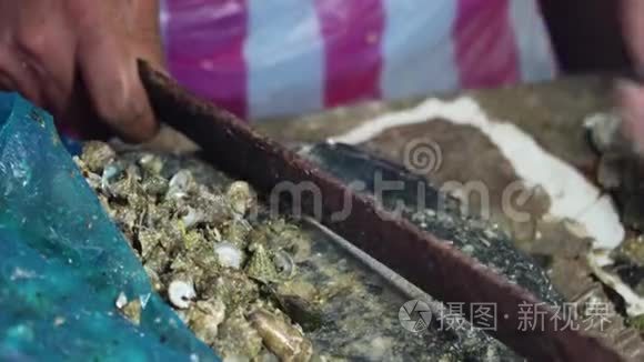 菲律宾鱼市场的新鲜蛤蜊视频