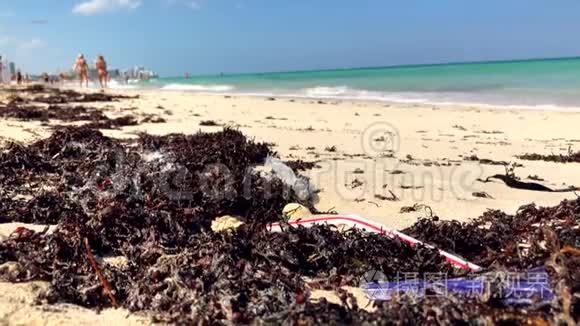 塑料和海藻迈阿密海滩视频