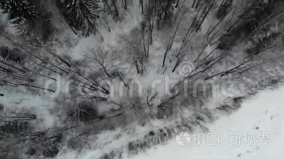 飞越雪林.. 美丽的冬季景观。 。 空中射击。 4K无人机的录像