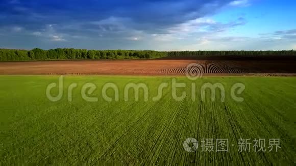 从硼地排到种植绿田的上部运动视频