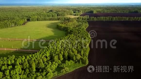 以林地和耕地飞越乡村景色视频