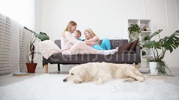 家庭宠物的生活。 妈妈把她的孩子抱在客厅的沙发上。 金毛猎犬是