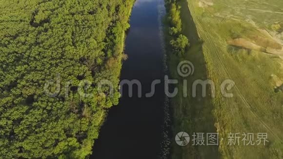 森林和河流的美丽景观视频