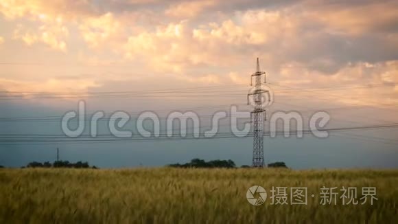 日落时麦田里的电塔视频