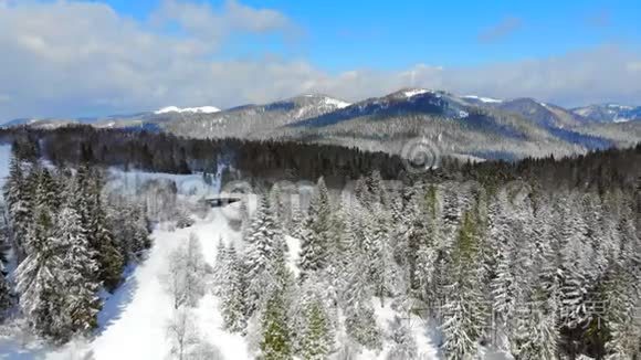 在晴朗的天气里，满是雪的树木的山脉全景。 喀尔巴阡山脉的冬季景色