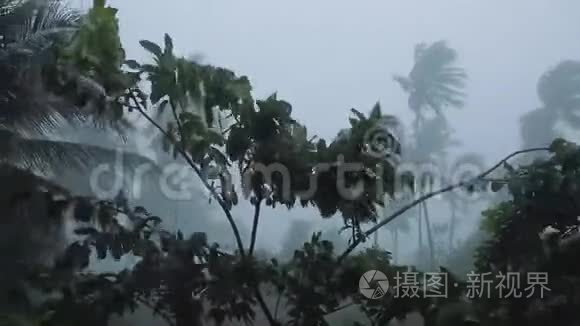 热带亚洲风暴及暴雨刮风视频