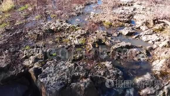 水落在自然环境中视频