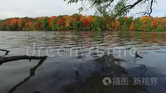 丹姆湖多伦多里士满山视频