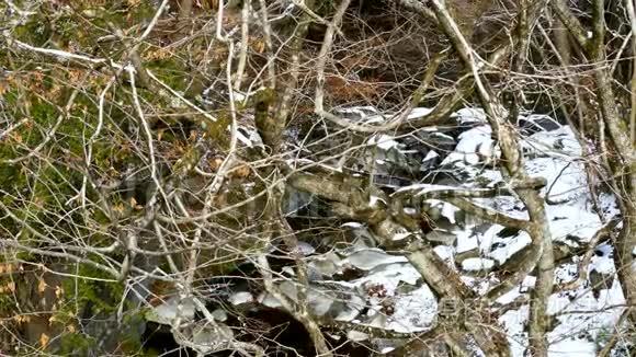 溪流流过白雪覆盖的岩石