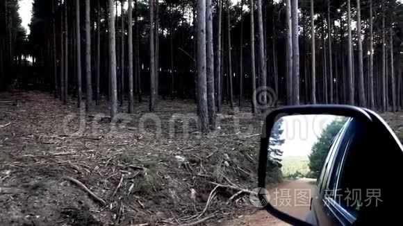 松树林和汽车镜的超慢动作视频
