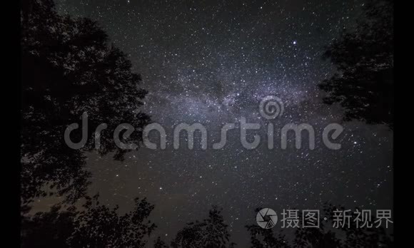 夜空中的星星在松树上移动的时间