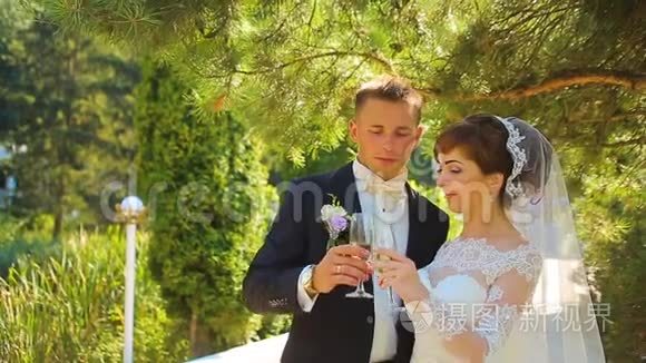 新娘和新郎在婚礼上享用香槟视频
