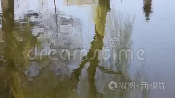 湖水上倒映着树木视频