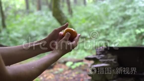热带森林雨水中女性手洗桃视频