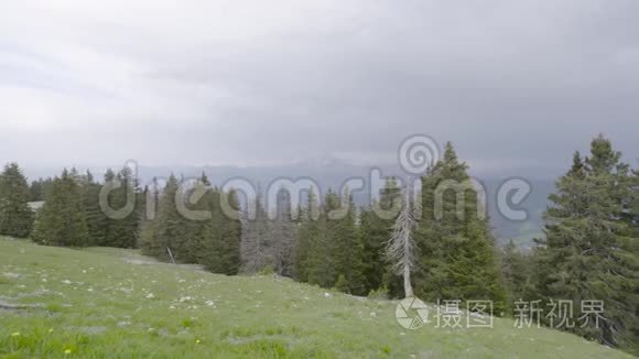 从草坪到森林和山脉的美丽景色。 行动。 夏日全景。 山区景观、森林和