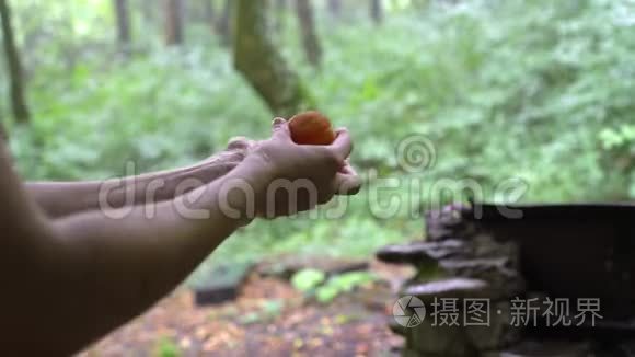用马拉木狗在森林中洗手桃视频