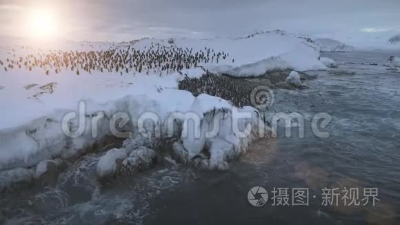 南极洲企鹅殖民地登陆空中视频