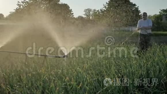 给花园里的栽培植物浇水视频