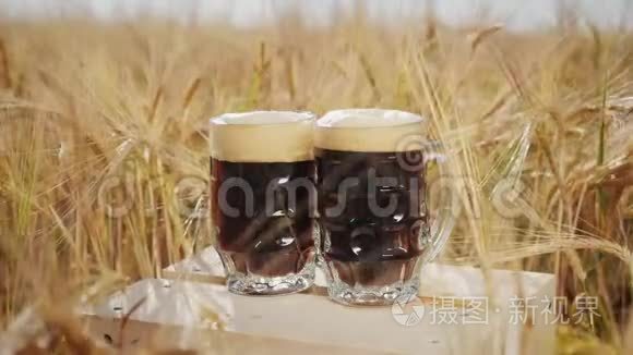 两杯黑啤酒站在田里的木箱上视频