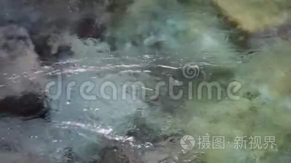 淡水里面的地下泉水