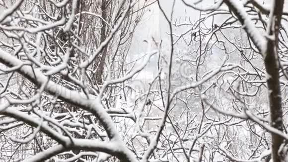 道路交通，冬天汽车沿着雪城街道行驶，