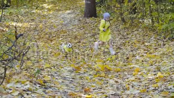 宠物家庭和友谊的概念。 秋天公园里有只狗跑的小女孩