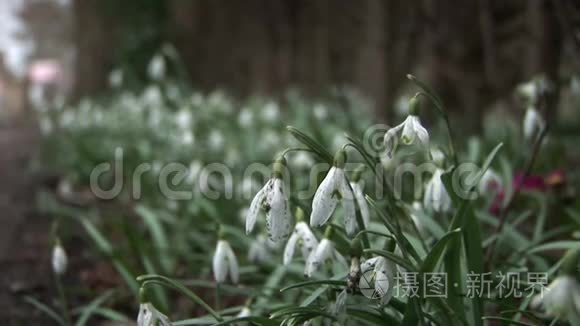 雪滴靠近