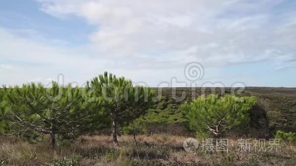 从干燥和尘土飞扬的伯爵那里观看，背景是灌木丛和小山景观